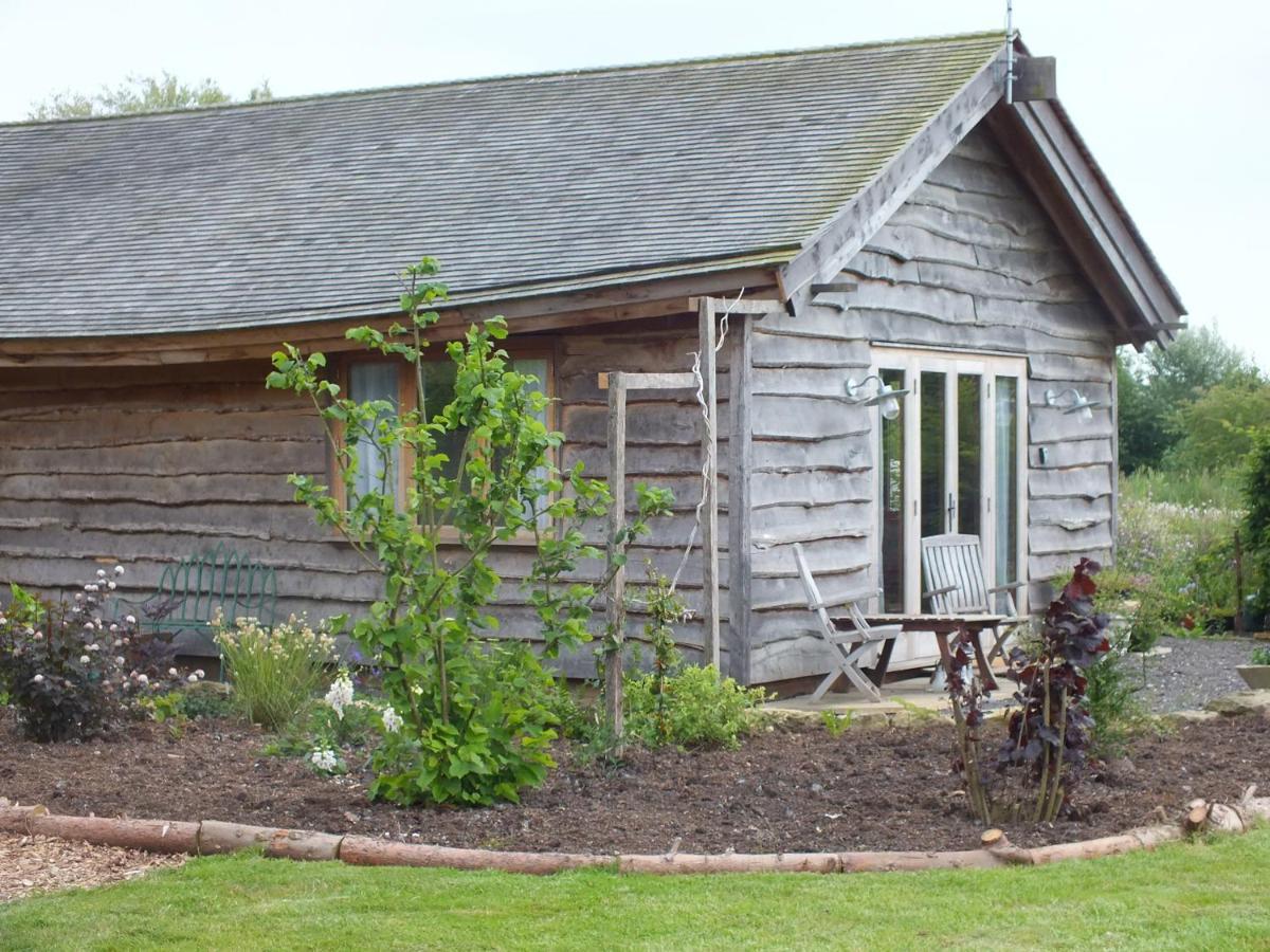 Three Oaks Nursery Чічестер Екстер'єр фото